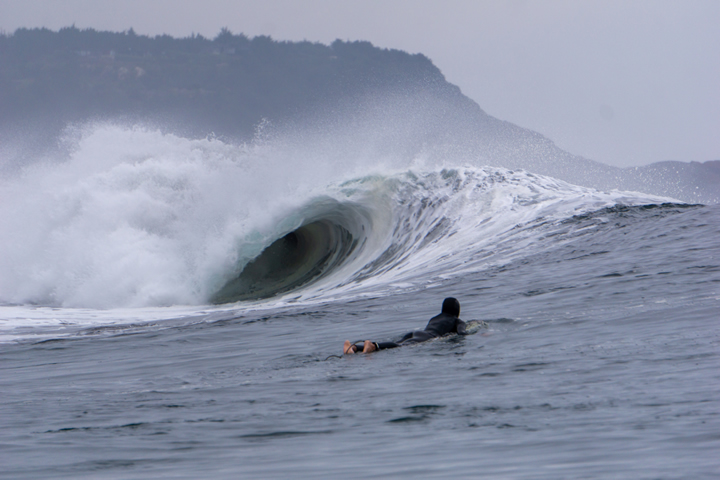 The Nature Sanctuary Bosque de Calabacillo de Navidad, located in the O'Higgins region, corresponds to a portion of water and seabed adjacent to the beach, characterized by high biodiversity associated with the unique forest of brown macroalgae Macrocystis pyrifera (calabacillo). As food for herbivores and mollusks, the calabacillo is fundamental to the conservation of the forest's biological diversity. The protected area includes a famous surf break in the area, a high-level left tube known as Roca Cuadrada. Photo: Agustín Sierra. 
