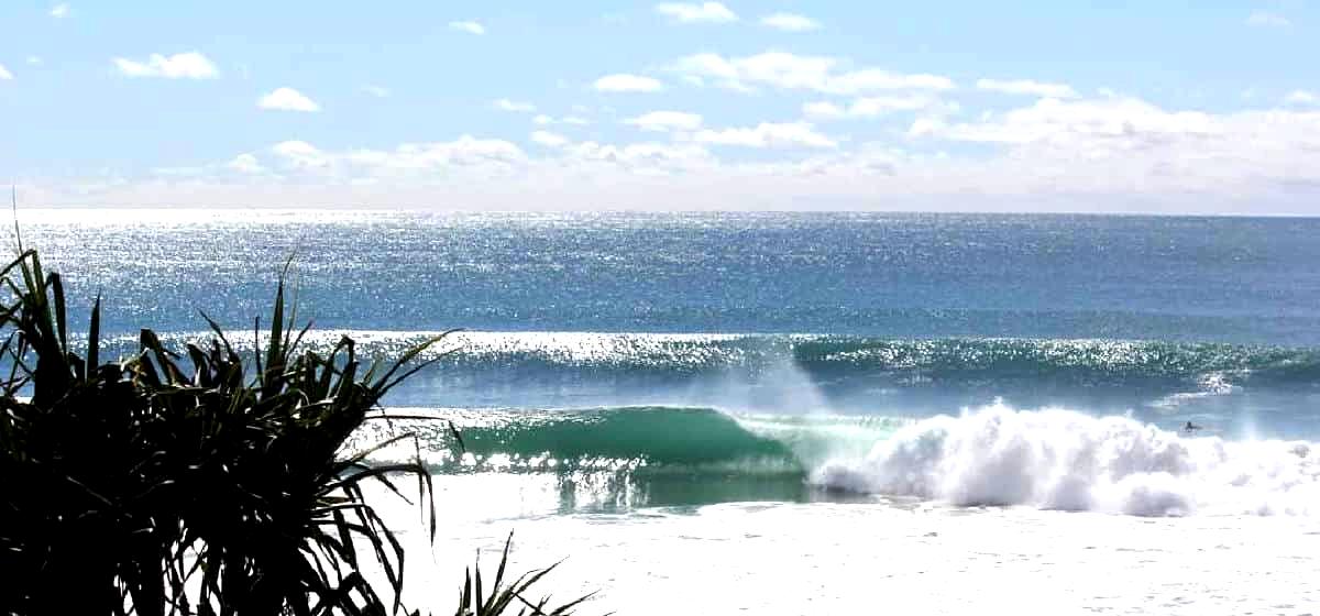 Burleigh Heads National Park has surf breaks within its boundaries. Photo: Andrew McKinnon. 