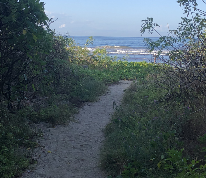 The Las Baulas Marine National Park includes surfing in its management plan as one of the permitted uses. The activity is regulated and delimited to certain areas, and a zoning is also proposed according to surfing skill levels (beginner, intermediate and advanced). Photo: Manolo Ruiz. 