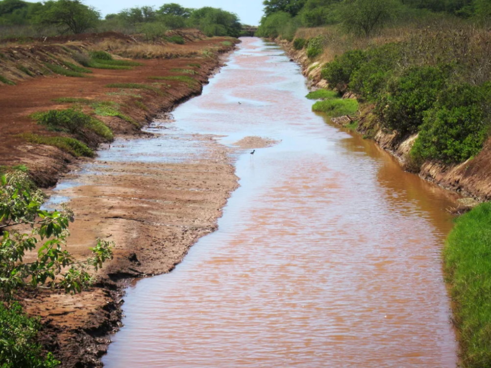 In recent years, the island of Kaua'i has tackled the discharge of agricultural pollutants into the ocean using, as key elements, the protection of affected breakers and their surrounding areas. Back in 2016, Earthjustice (on behalf of the Surfrider Foundation, Na Kia'i Kai and the Pesticide Action Network) sued the Hawaii Agribusiness Development Corporation for violating the Clean Water Act in an effort to protect Kaua'i's west side waters. The Corporation operated a 40-mile drainage ditch system, which discharged millions of gallons of polluted water into the ocean, thereby affecting people's health and fouling the water where people fished, swam, surfed and boated. In 2019, the plaintiffs won the lawsuit, and the corporation was required to implement a water quality monitoring program and best management practices to reduce pollution. Photo: Earthjustice. 