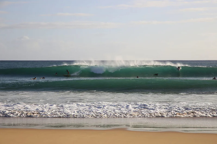 In 2017, the Surfrider Foundation and the Progressive Action Alliance of Hawai'i filed a lawsuit against the Board of Land and Natural Resources Hawai'i and Syngenta Hawai'i LLC. They were accused of failing to conduct an environmental assessment in accordance with Hawaiian environmental laws for a land use permit affecting a parcel of land in Kekaha, Waimea (Kona), Kauai. The plaintiffs noted that the project would have a significant impact on sensitive environmental resources, including waterways and nearshore waters. The parcel in question is adjacent to the shoreline that supports marine life and is also part of the zone state-designated surf zone known as the Targets. The judge ruled that Syngenta's use of State conservation lands is subject to Hawaii's environmental review laws. Therefore, until reviewed by a higher court, any new leases or expanded operations on state lands, in the conservation district or within the shoreline, must go through an environmental assessment. Photo: Clement Faydi.